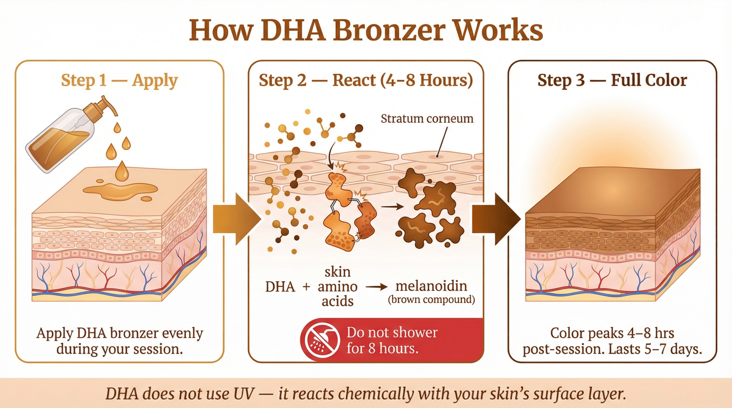Three-step diagram explaining how DHA in tanning lotion reacts with skin amino acids over 4 to 8 hours to develop a bronzed color that lasts 5 to 7 days