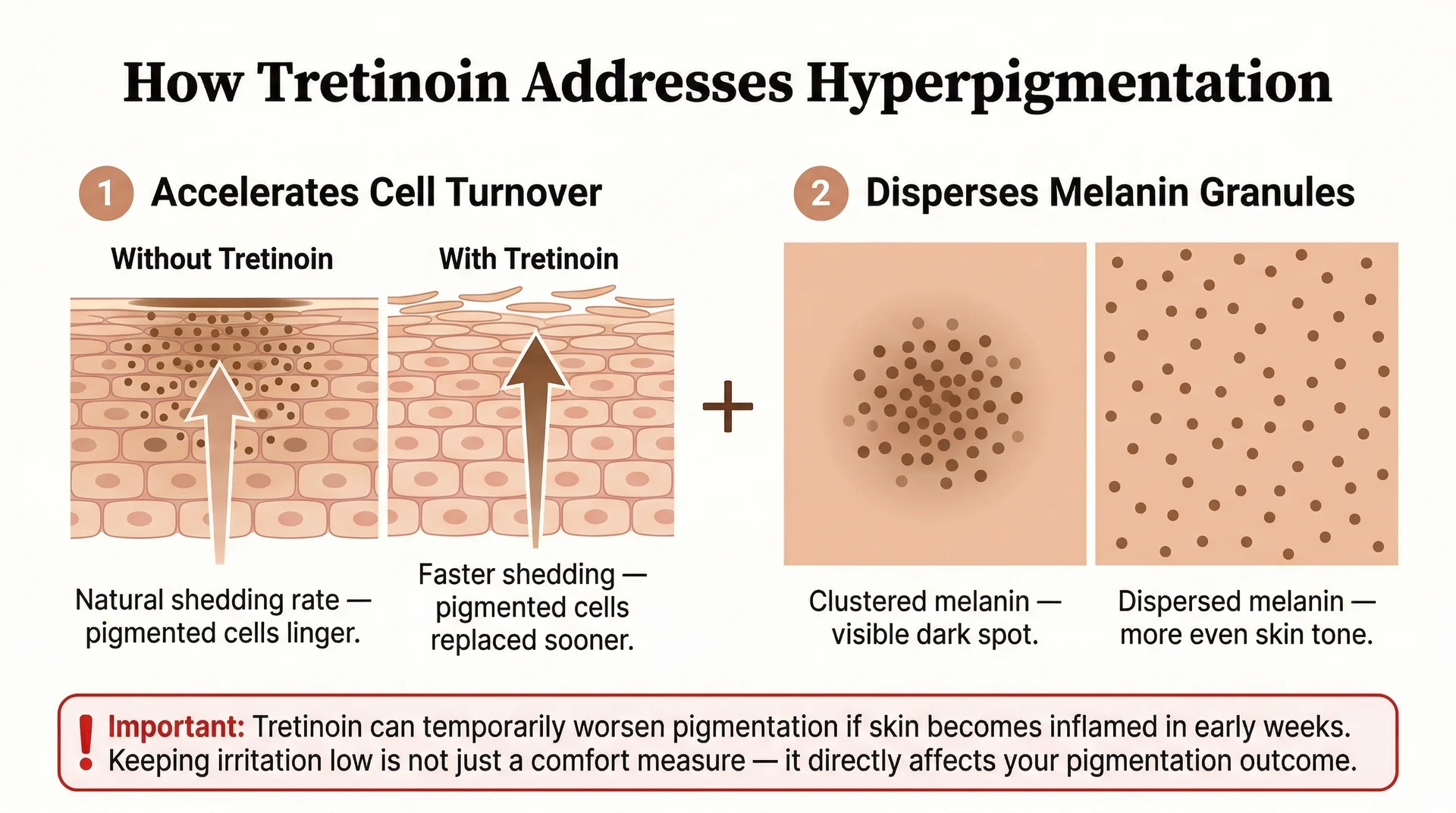 Two-panel diagram showing how tretinoin accelerates cell turnover and disperses melanin granules to improve hyperpigmentation