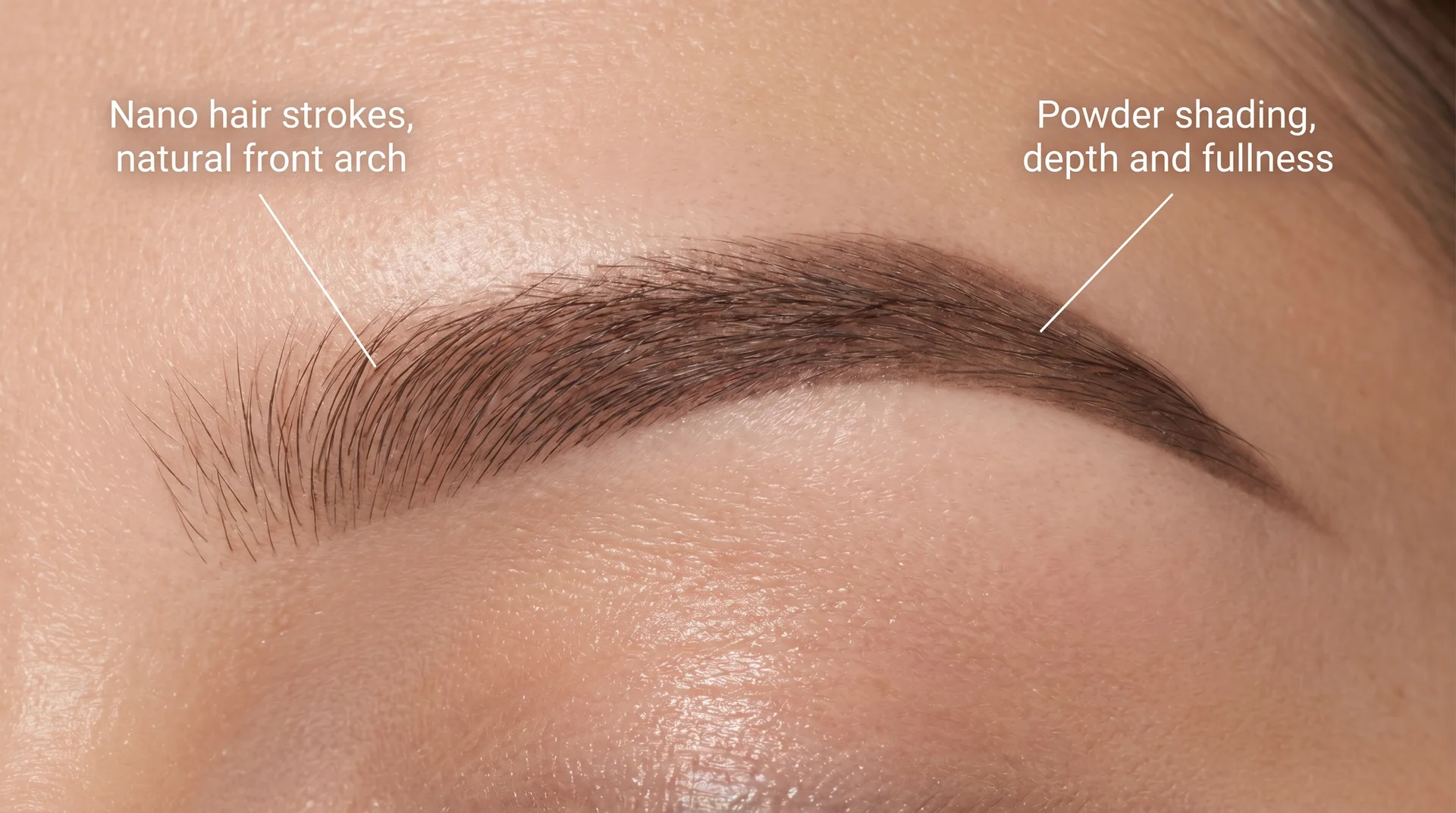 Annotated hybrid brow showing nano hair strokes at the front arch and powder shading through the body and tail 