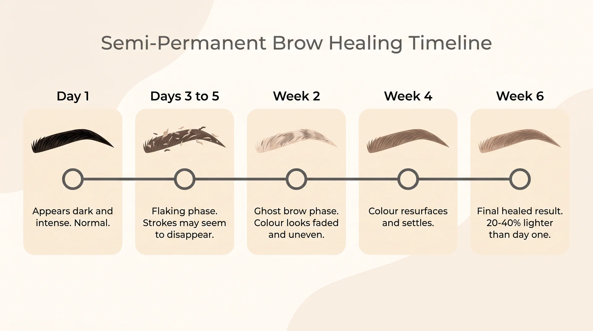 Brow healing timeline from dark day one through flaking and ghost brow phase to final healed result at week six