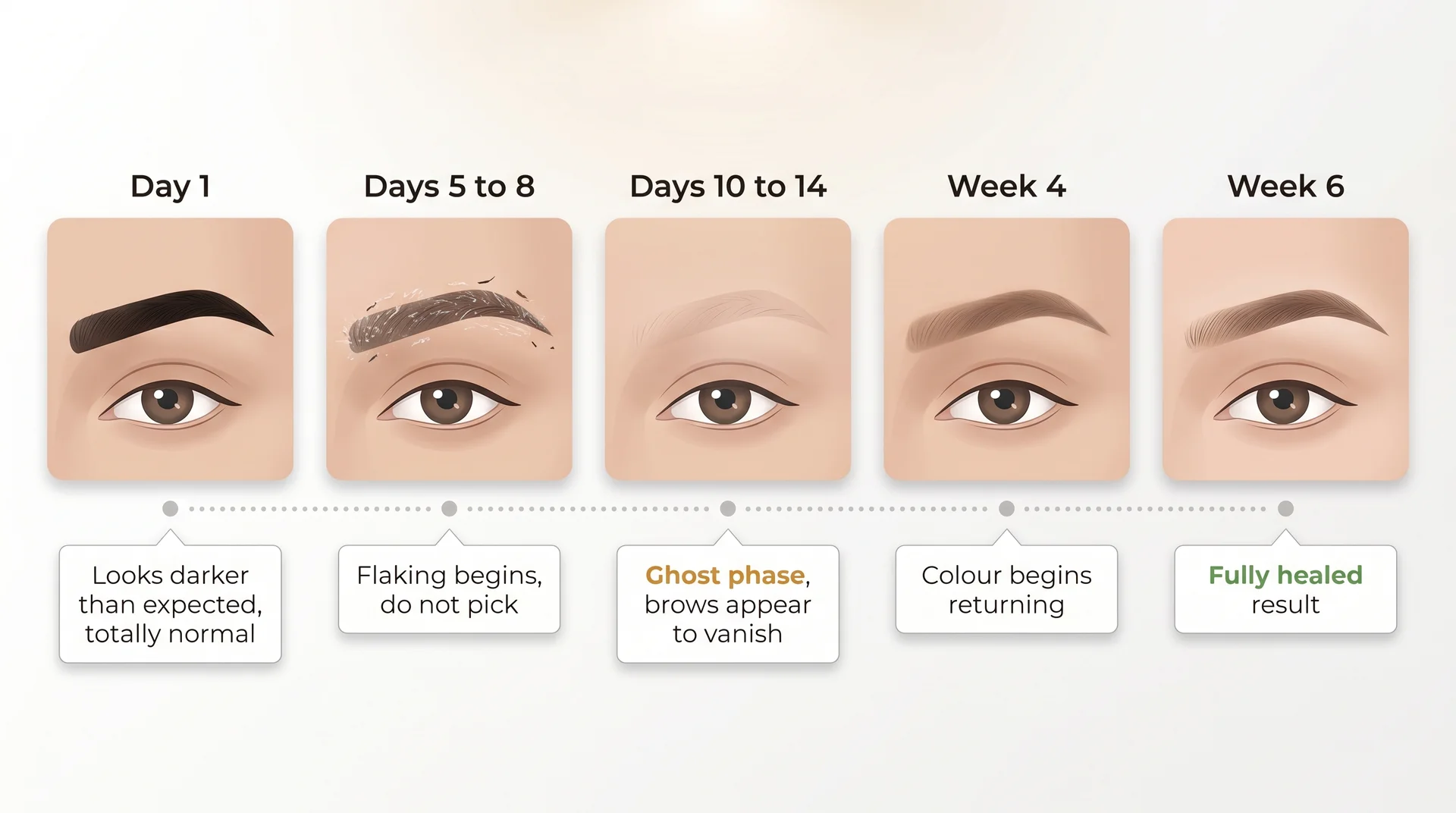 Brow healing timeline from day 1 bold colour through the ghost phase disappearance to healed result at six weeks