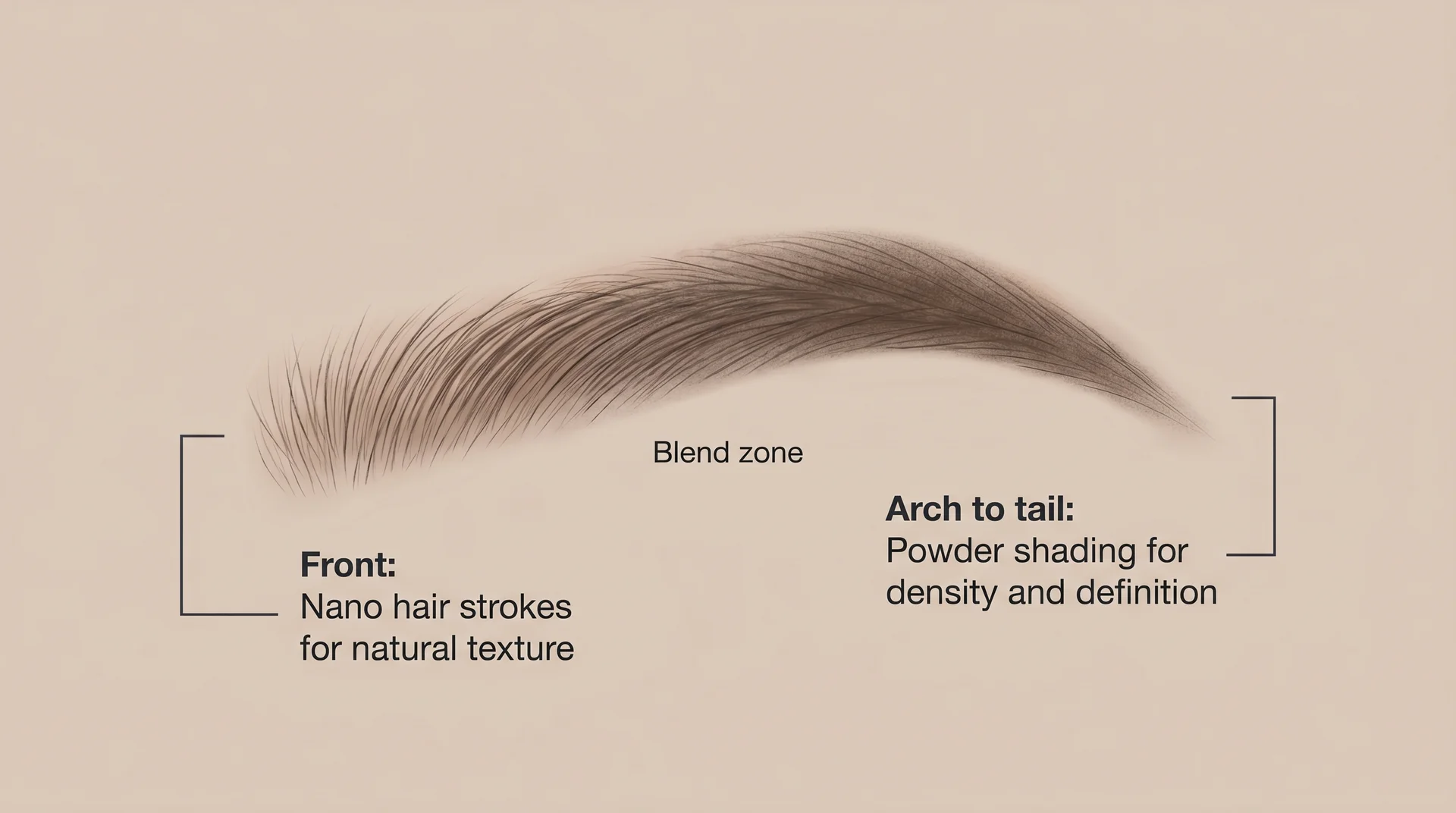 Combo brow diagram labelling nano hair strokes at the brow front and powder shading from arch to tail
