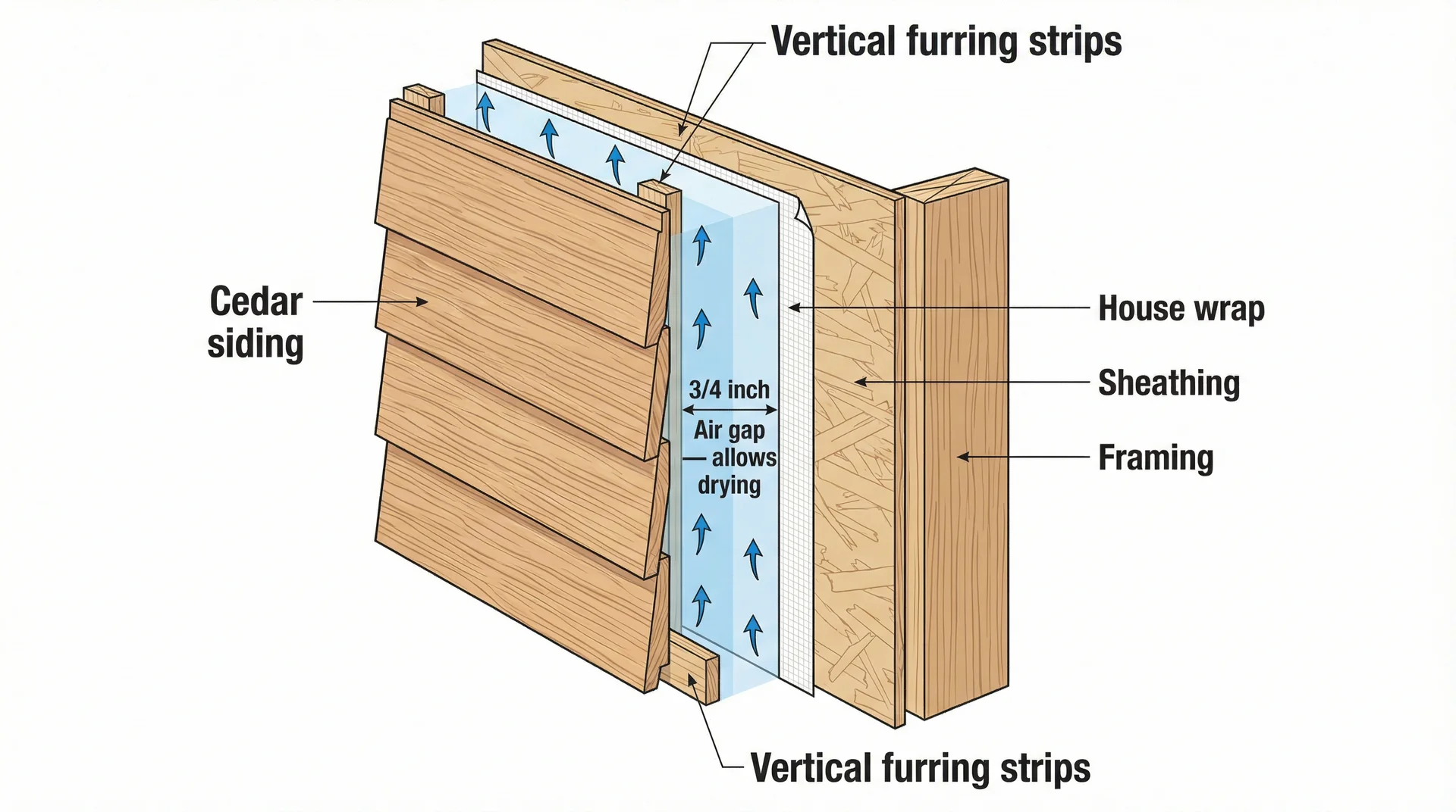 Cross-section diagram of rainscreen siding assembly showing cedar boards, air gap, furring strips, and house wrap