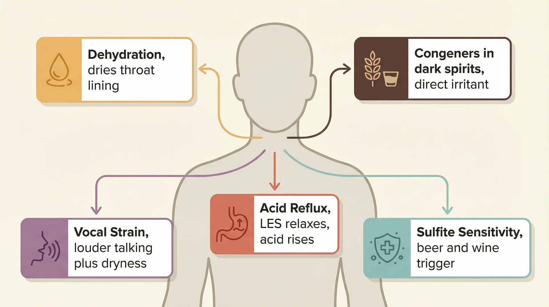 Diagram showing five reasons alcohol causes a sore throat: dehydration, congeners, acid reflux, vocal strain, sulfite sensitivity