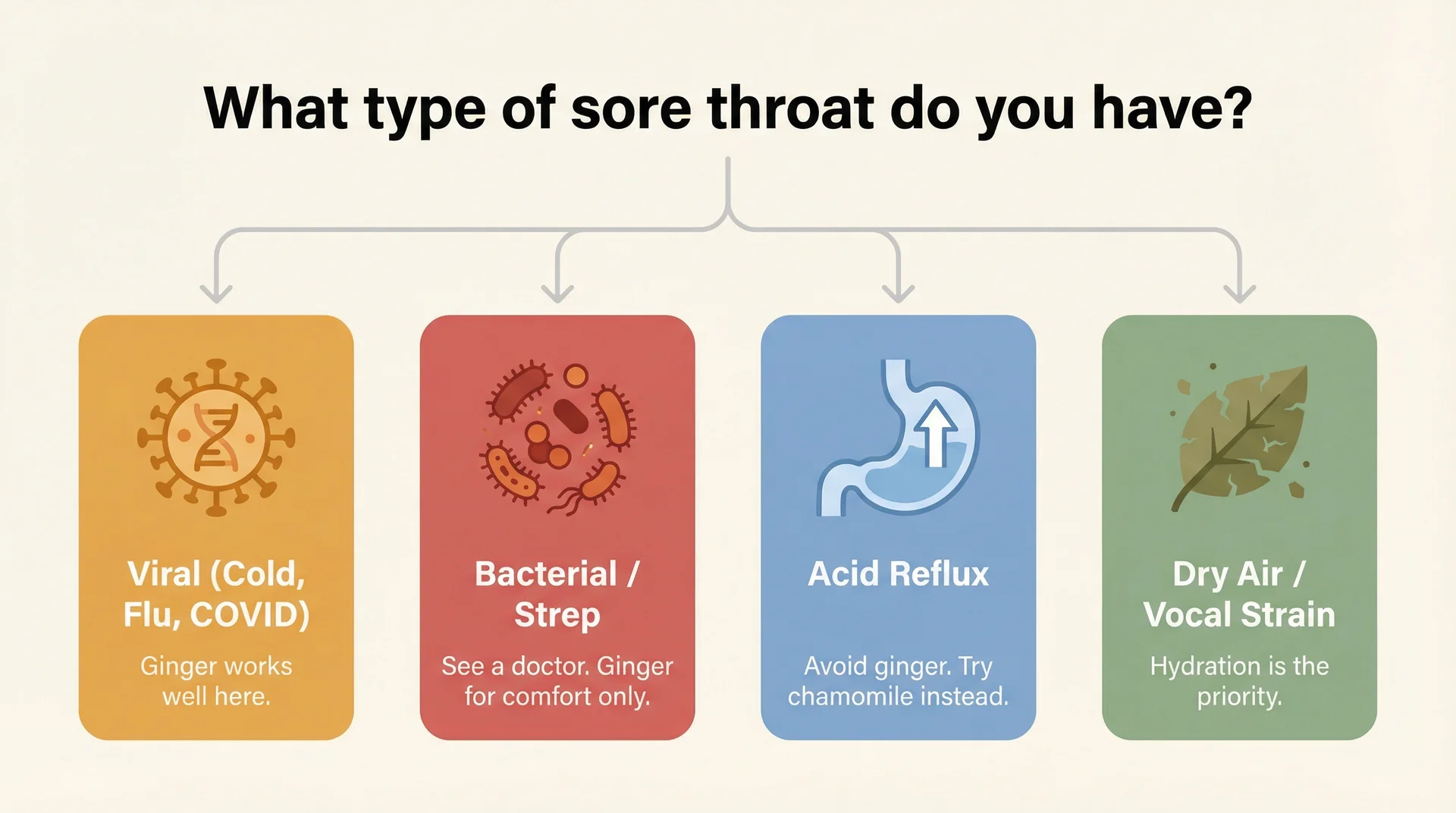 Flowchart matching four sore throat types to whether ginger helps: viral, strep, acid reflux, vocal strain