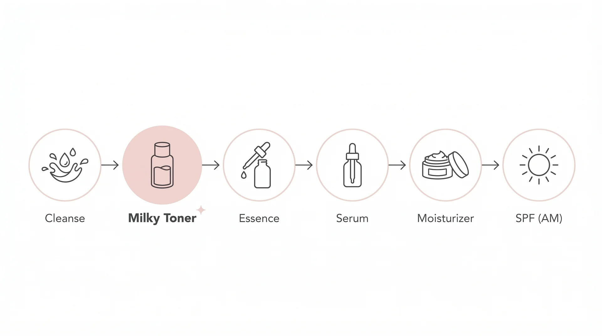 Skincare routine order diagram with Korean milky toner highlighted as step two after cleansing