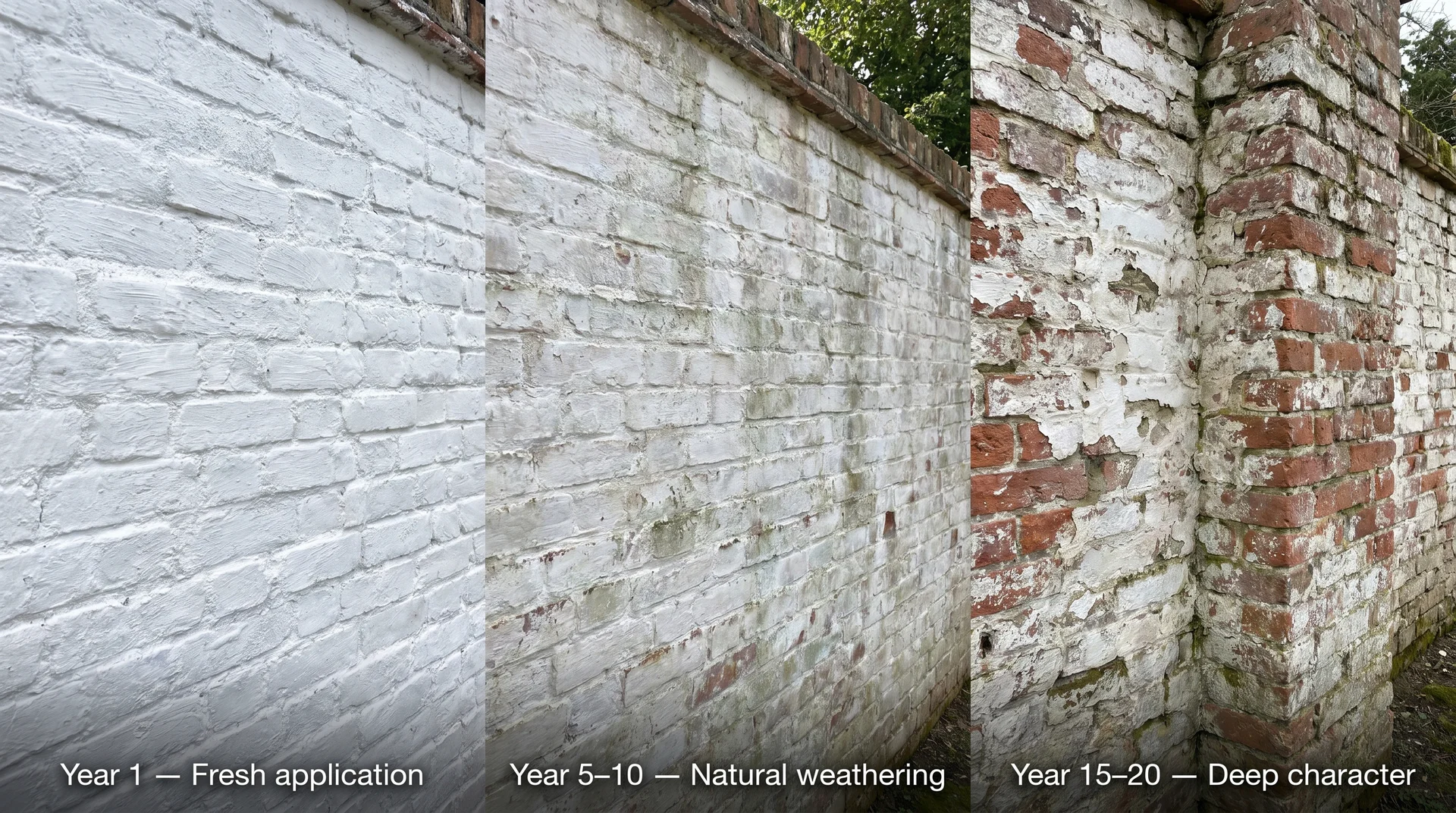 Three brick wall sections labeled Year 1, Year 5-10, and Year 15-20 showing natural limewash weathering progression