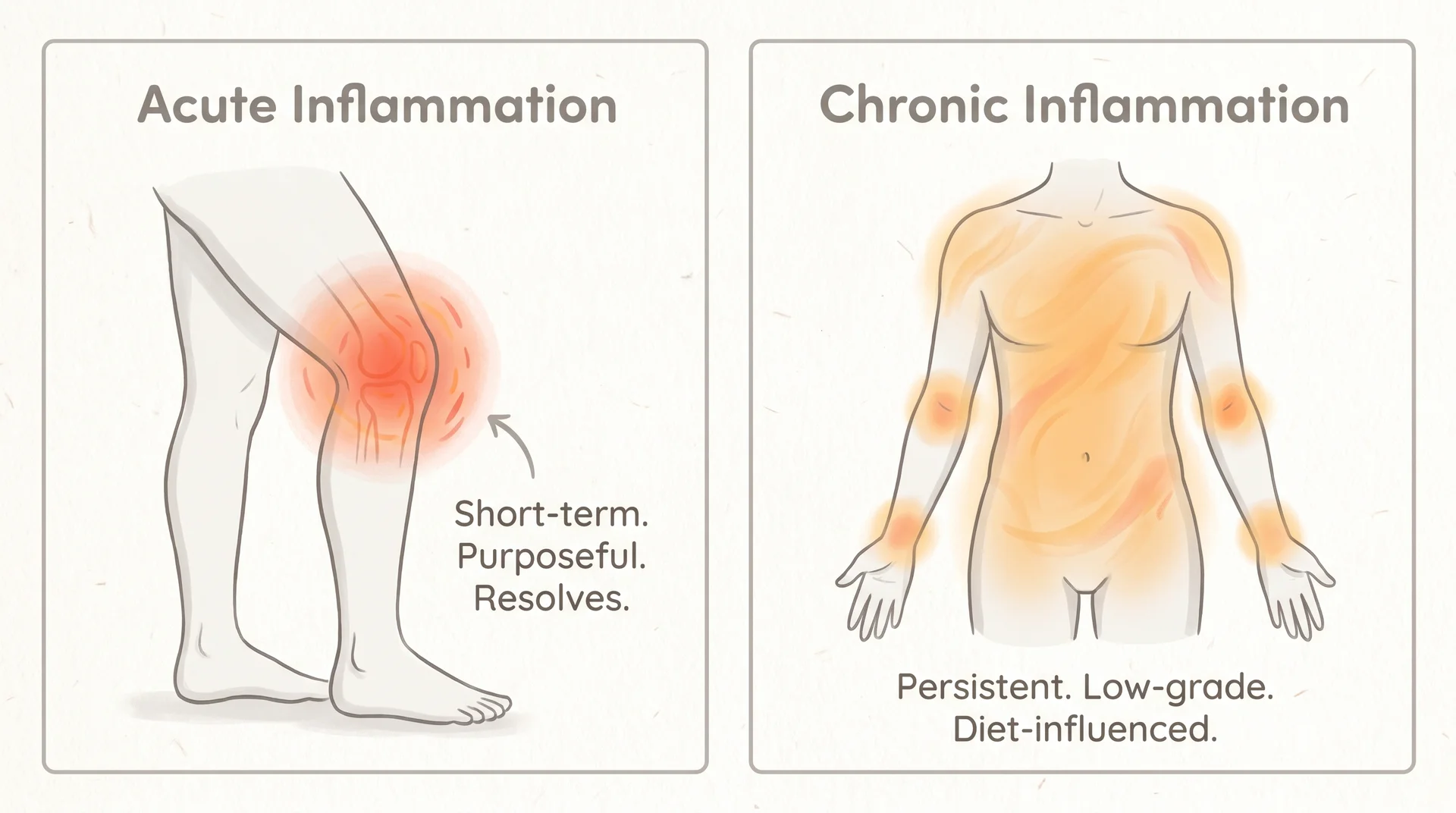 Diagram comparing acute knee inflammation versus diffuse chronic systemic inflammation with explanatory labels
