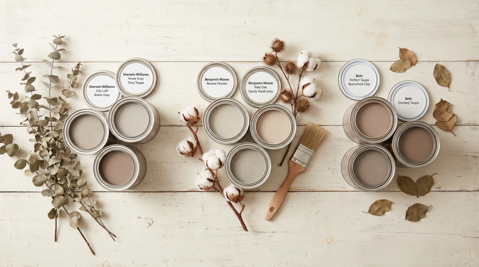 Flat-lay of taupe paint sample pots from Sherwin-Williams, Benjamin Moore, and Behr grouped by brand on a warm white surface