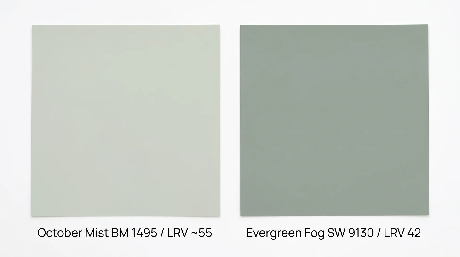 October Mist BM 1495 versus Evergreen Fog SW 9130 paint swatches side by side showing LRV and color difference
