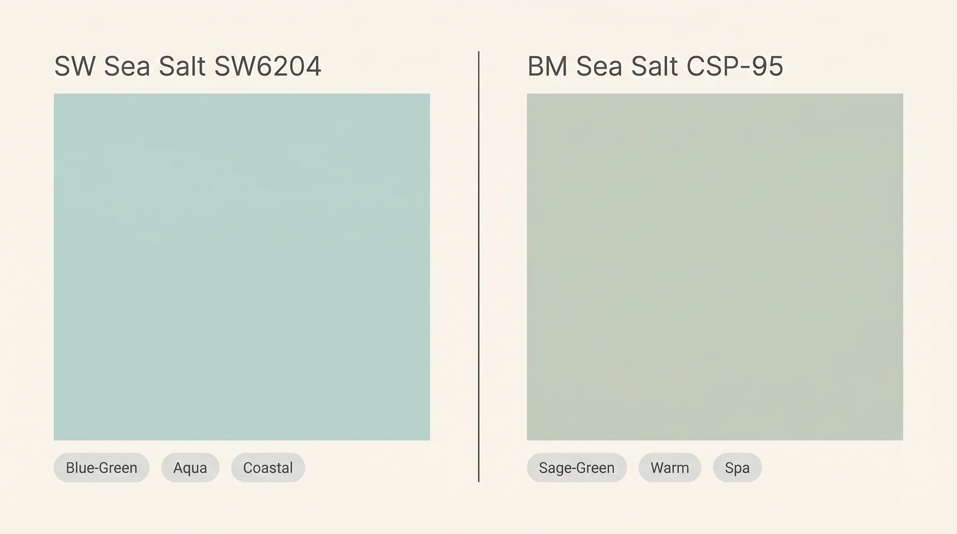 Side-by-side swatch comparing Sherwin-Williams Sea Salt SW6204 blue-green versus Benjamin Moore Sea Salt CSP-95 sage-green